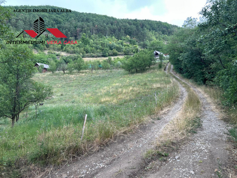 Teren intravilan 5000 mp de vanzare Remetea - Ampoita Jud Alba