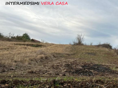 Teren intravilan 500 mp Micesti