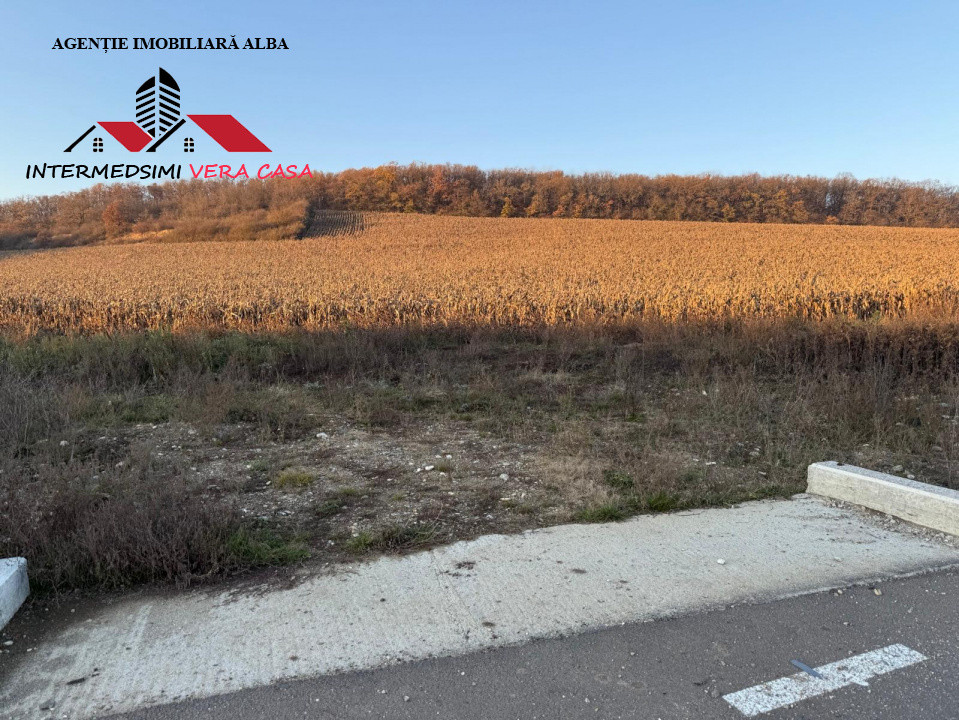 Teren extravilan de vanzare Vingard Jud Alba