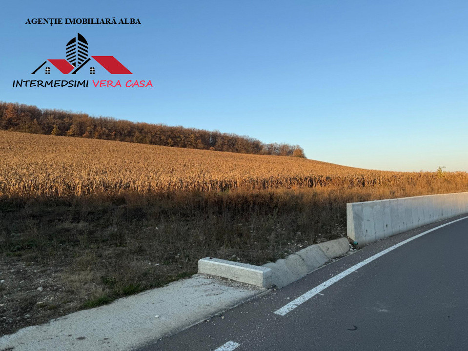 Teren extravilan de vanzare Vingard Jud Alba