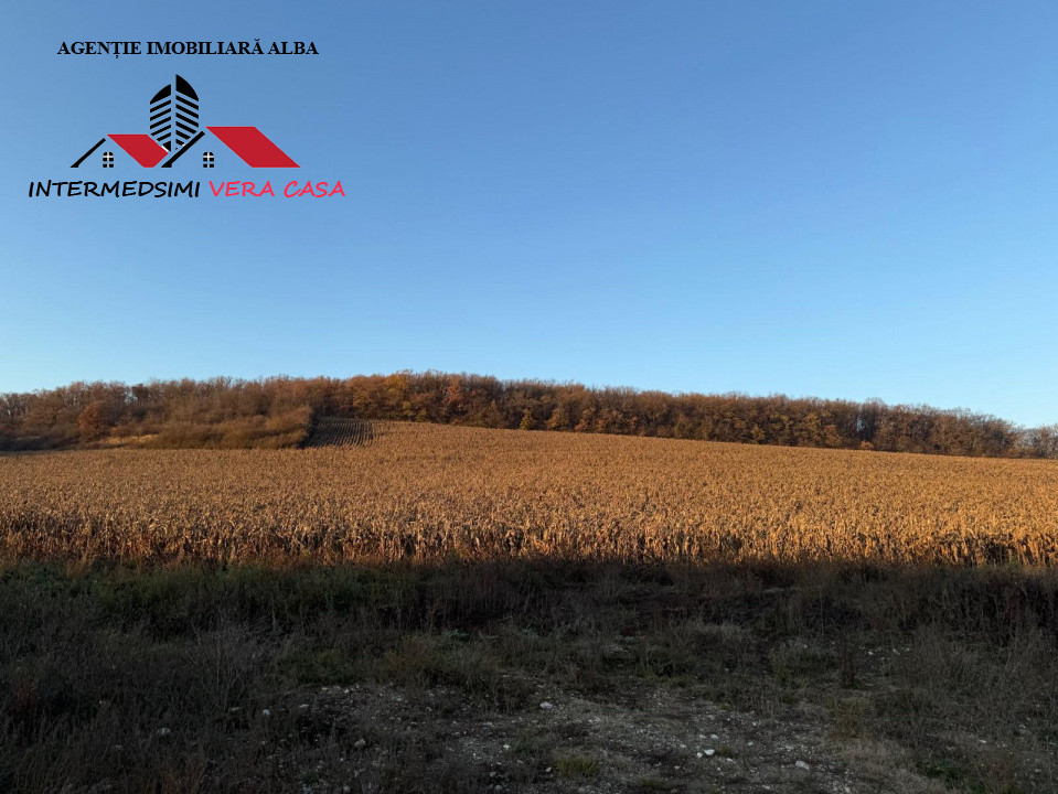 Teren extravilan de vanzare Vingard Jud Alba