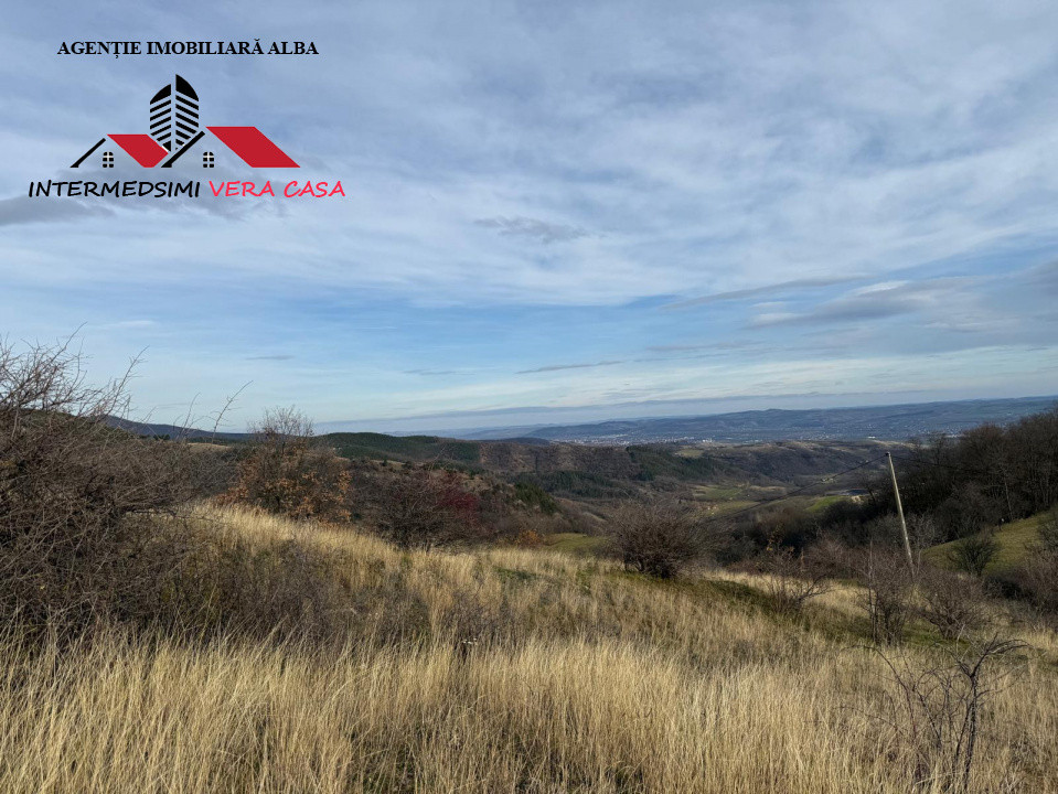 Teren extravilan de vanzare la perfiferia satului Inuri Jud Alba