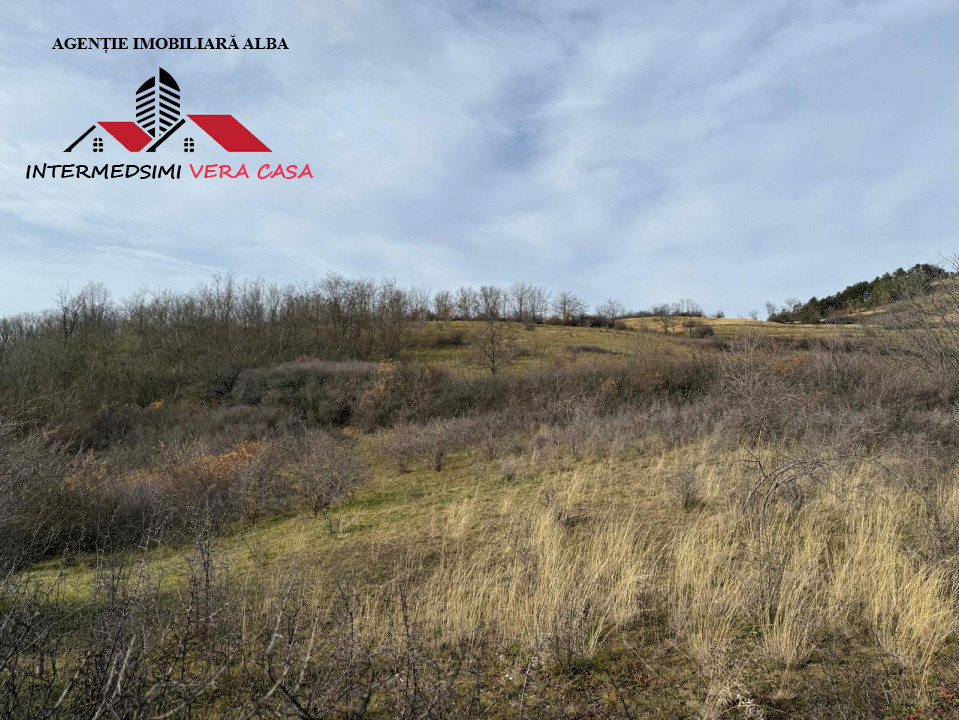 Teren extravilan de vanzare la perfiferia satului Inuri Jud Alba
