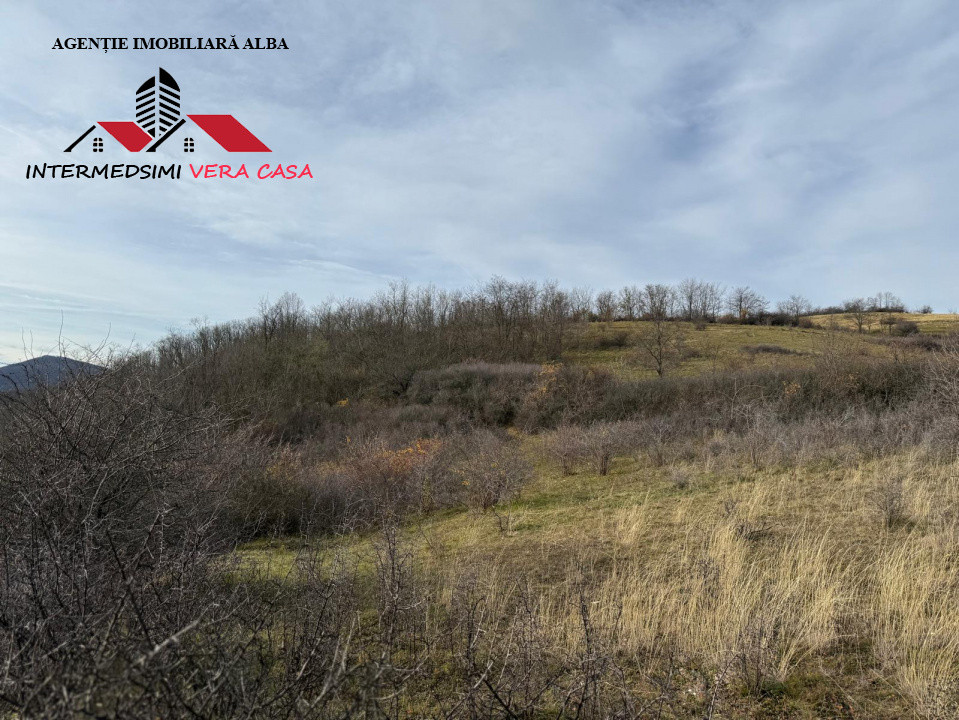 Teren extravilan de vanzare la perfiferia satului Inuri Jud Alba