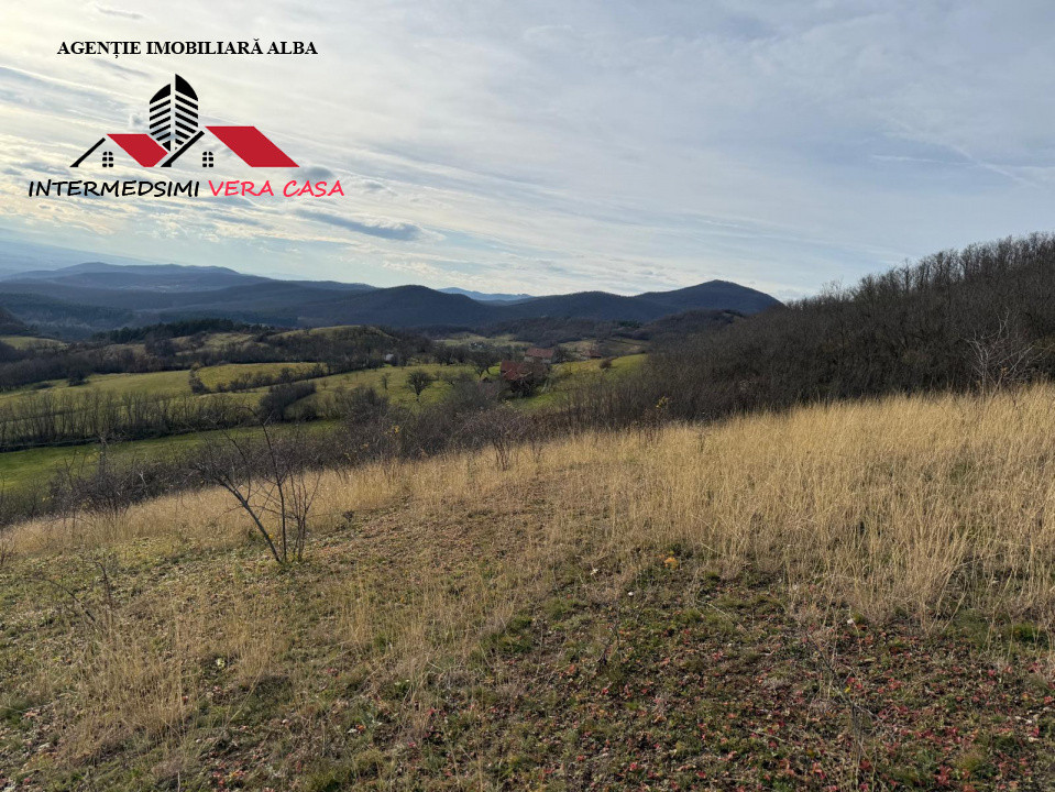 Teren extravilan de vanzare la perfiferia satului Inuri Jud Alba