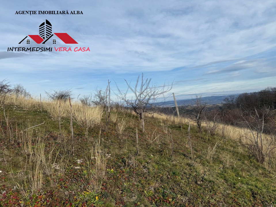 Teren extravilan de vanzare la perfiferia satului Inuri Jud Alba