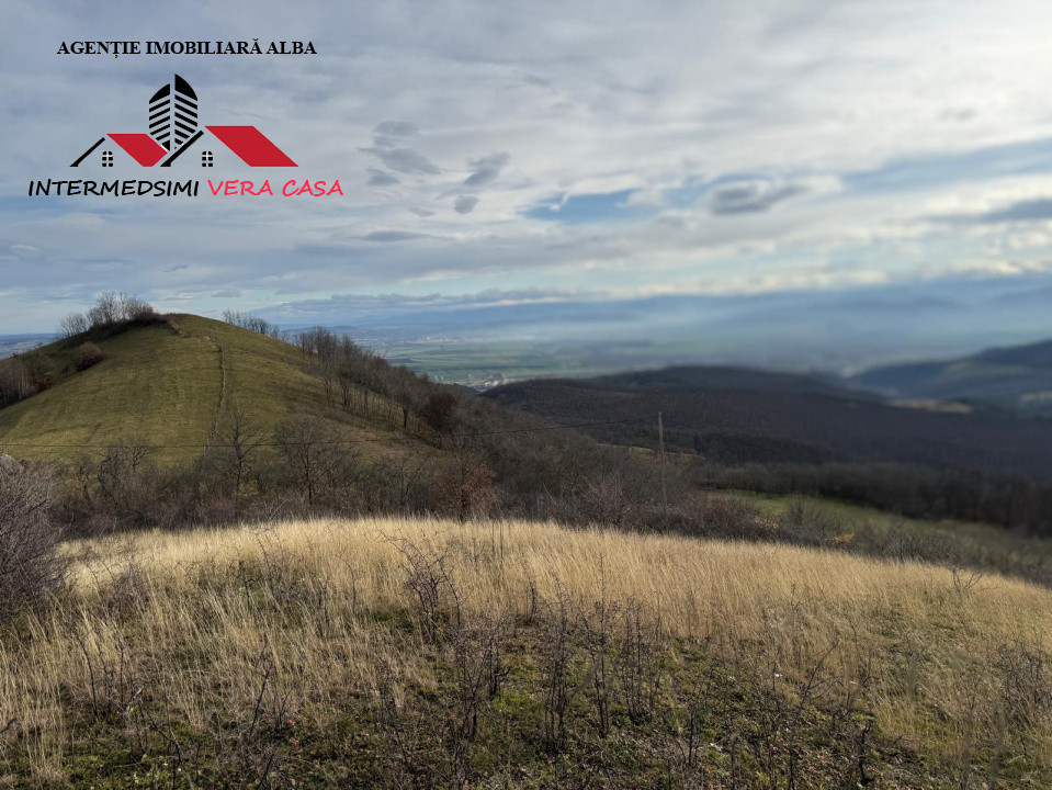 Teren extravilan de vanzare la perfiferia satului Inuri Jud Alba