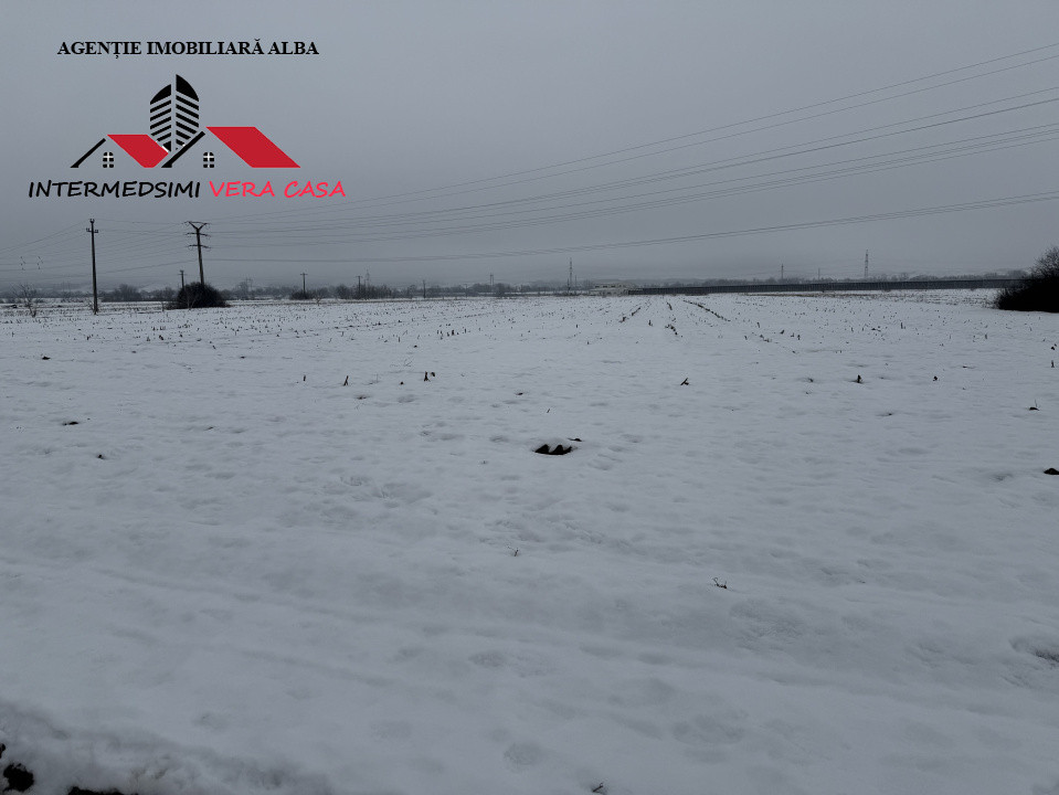 Teren intravilan 3900 mp de vanzare pe Centura Alba iulia ( konti )