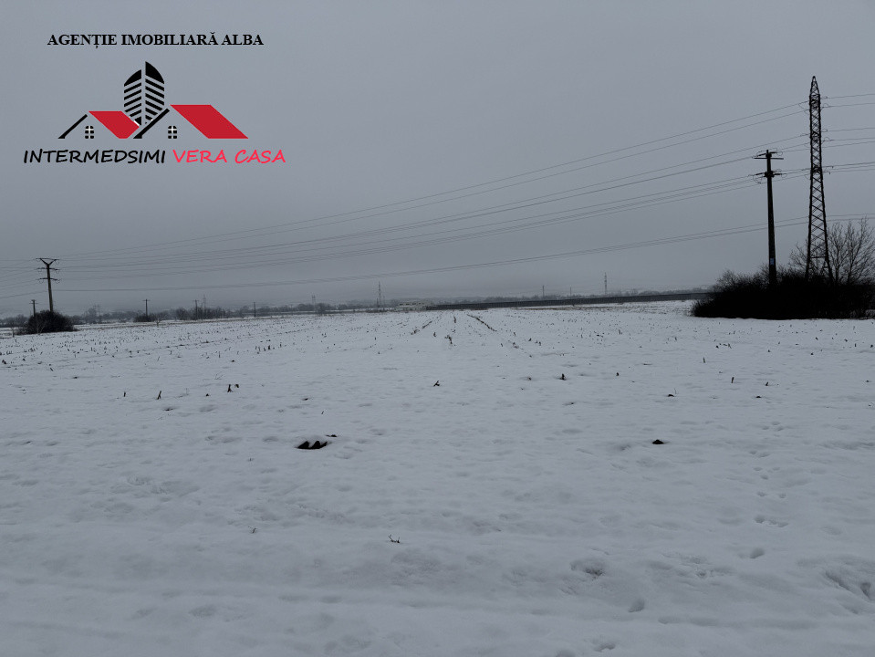 Teren intravilan 3900 mp de vanzare pe Centura Alba iulia ( konti )