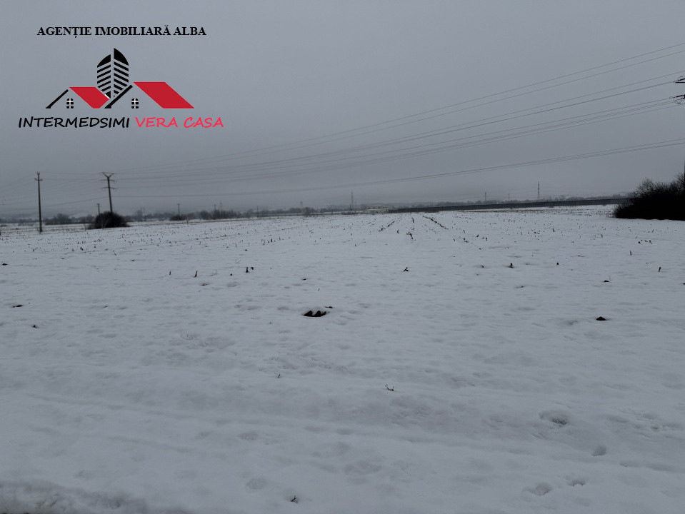 Teren intravilan 3900 mp de vanzare pe Centura Alba iulia ( konti )