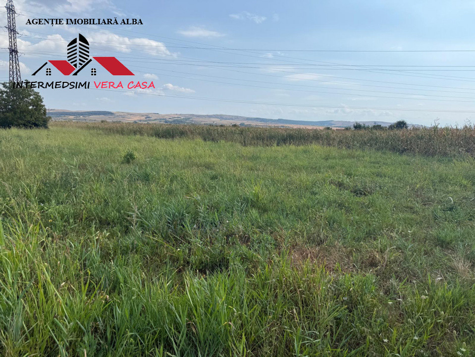 Teren intravilan 3900 mp de vanzare pe Centura Alba iulia ( konti )