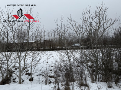 Teren intravilan 3900 mp de vanzare pe Centura Alba iulia ( konti )