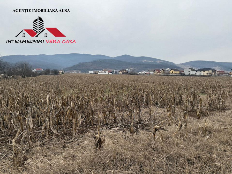 Teren intravilan de vanzare pentru Blocuri Alba - Micesti partea stanga.