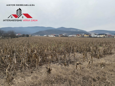 Teren intravilan de vanzare pentru Blocuri Alba - Micesti partea stanga.