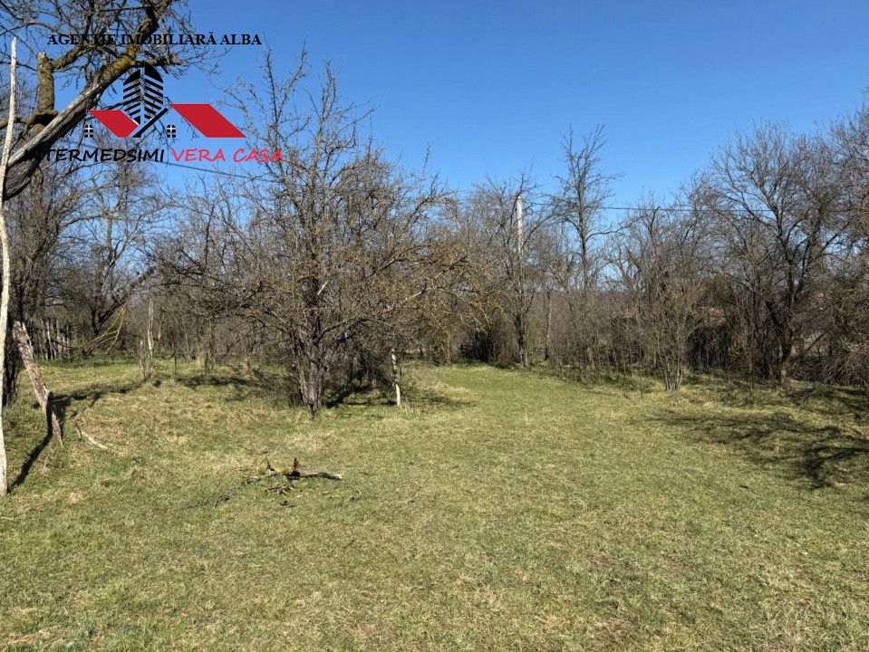 Casa si anexe cu un teren de 7701 mp de vanzare in Stauini  Jud Alba