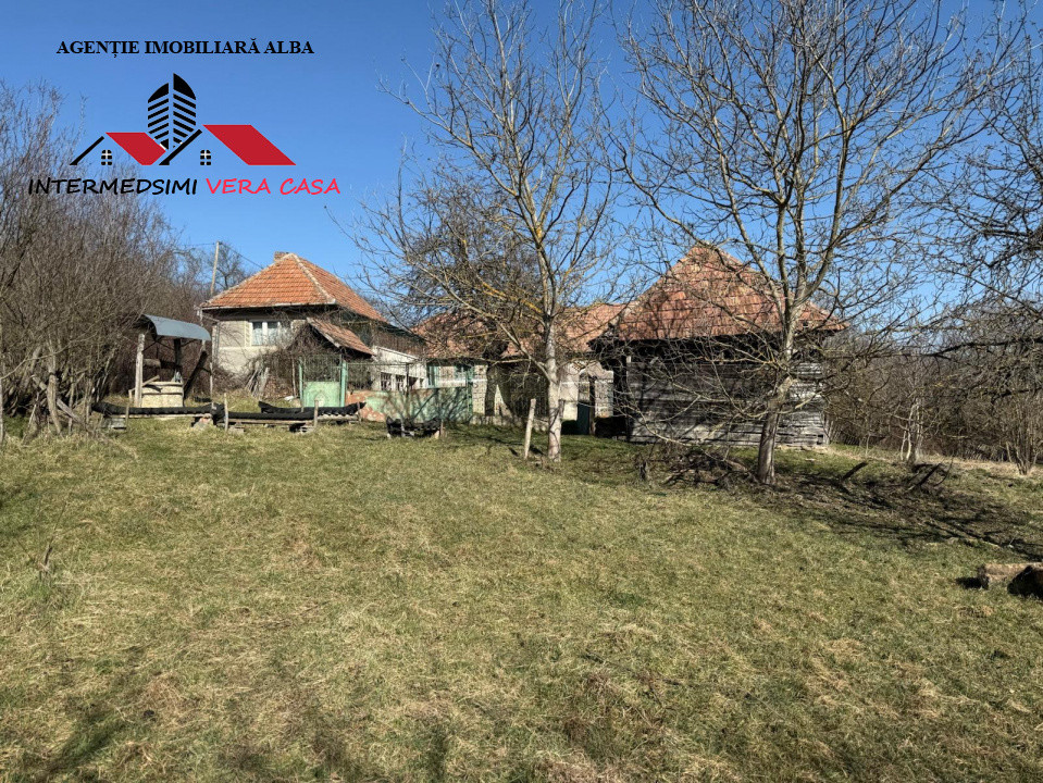 Casa si anexe cu un teren de 7701 mp de vanzare in Stauini  Jud Alba