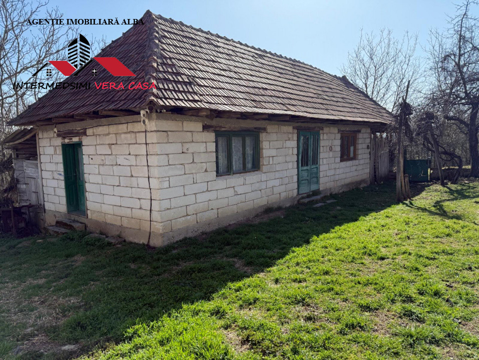 Casa si anexe cu un teren de 7701 mp de vanzare in Stauini  Jud Alba