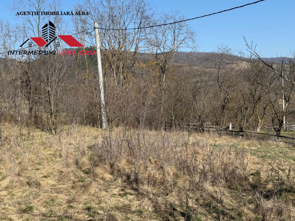 Casa si anexe cu un teren de 7701 mp de vanzare in Stauini  Jud Alba