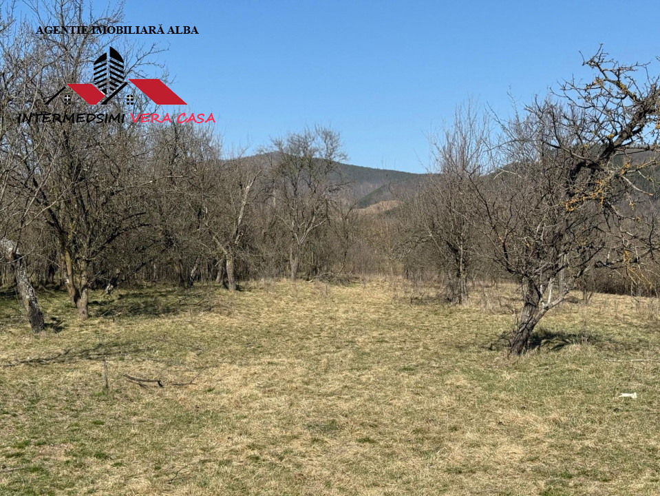 Casa si anexe cu un teren de 7701 mp de vanzare in Stauini  Jud Alba