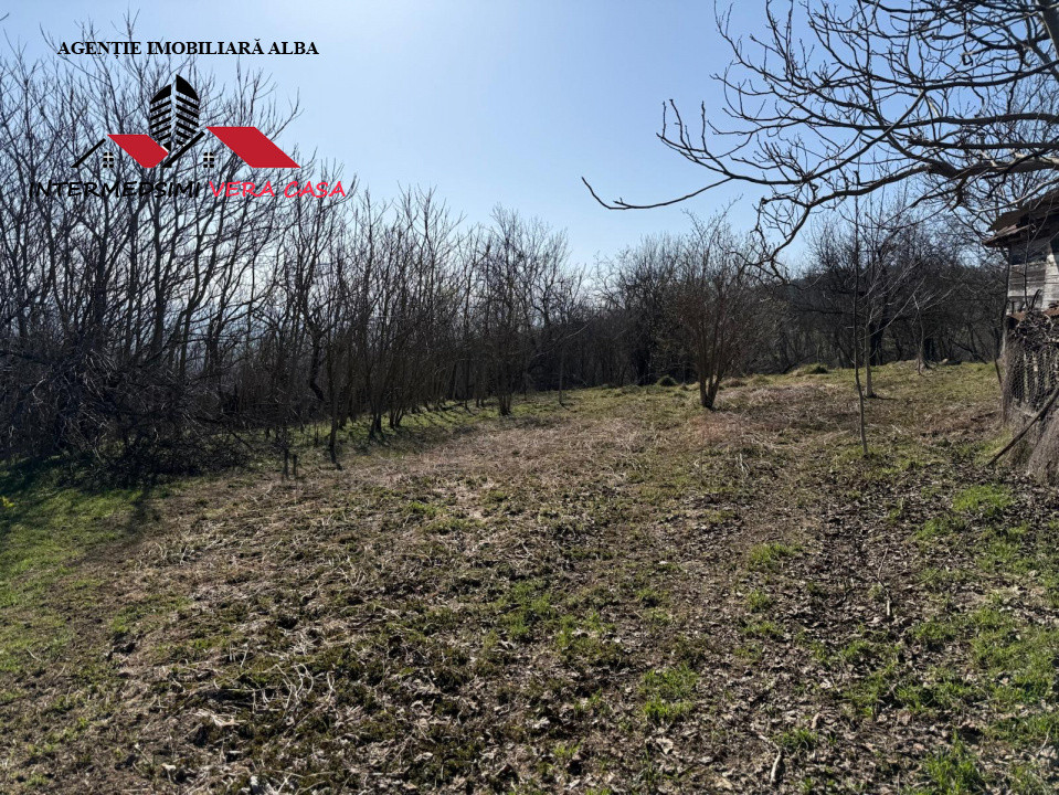 Casa si anexe cu un teren de 7701 mp de vanzare in Stauini  Jud Alba