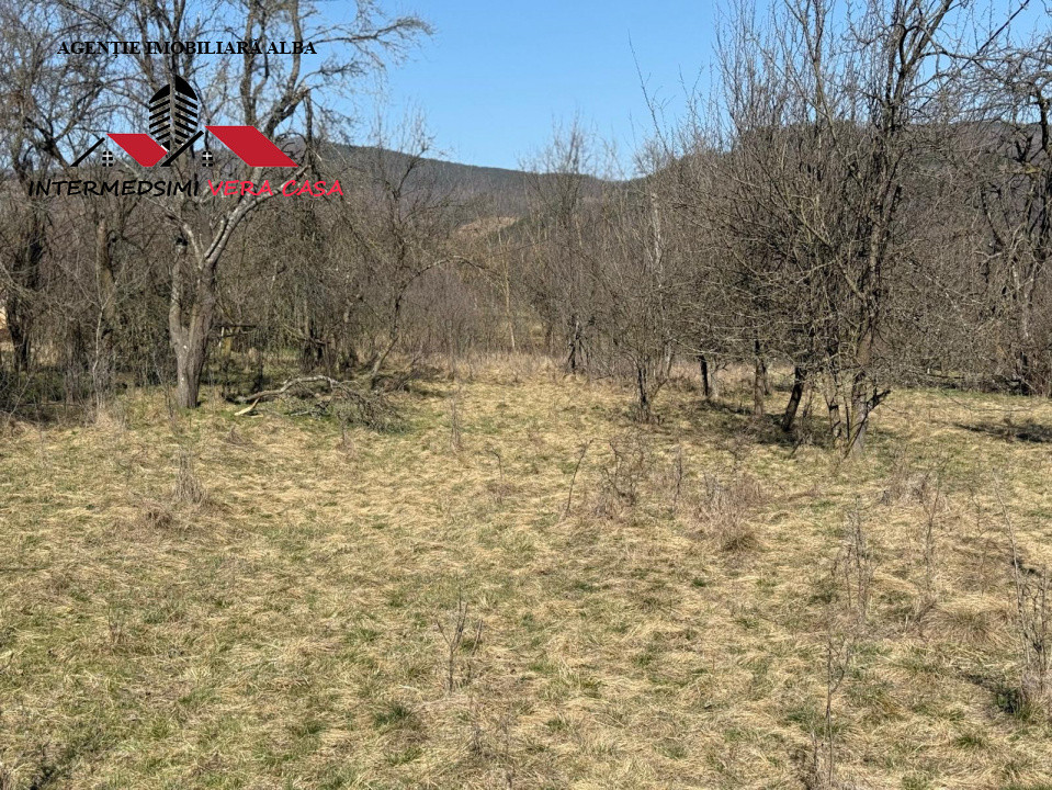 Casa si anexe cu un teren de 7701 mp de vanzare in Stauini  Jud Alba