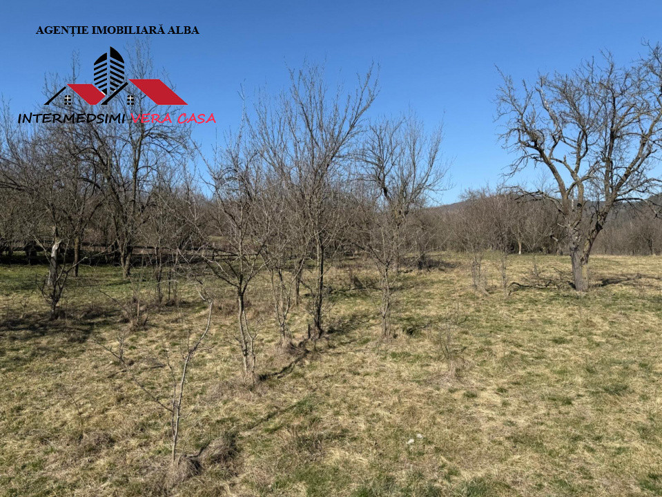 Casa si anexe cu un teren de 7701 mp de vanzare in Stauini  Jud Alba