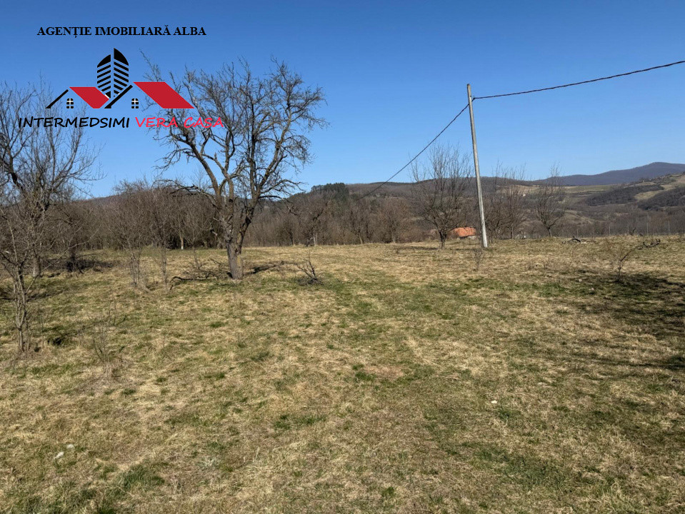 Casa si anexe cu un teren de 7701 mp de vanzare in Stauini  Jud Alba