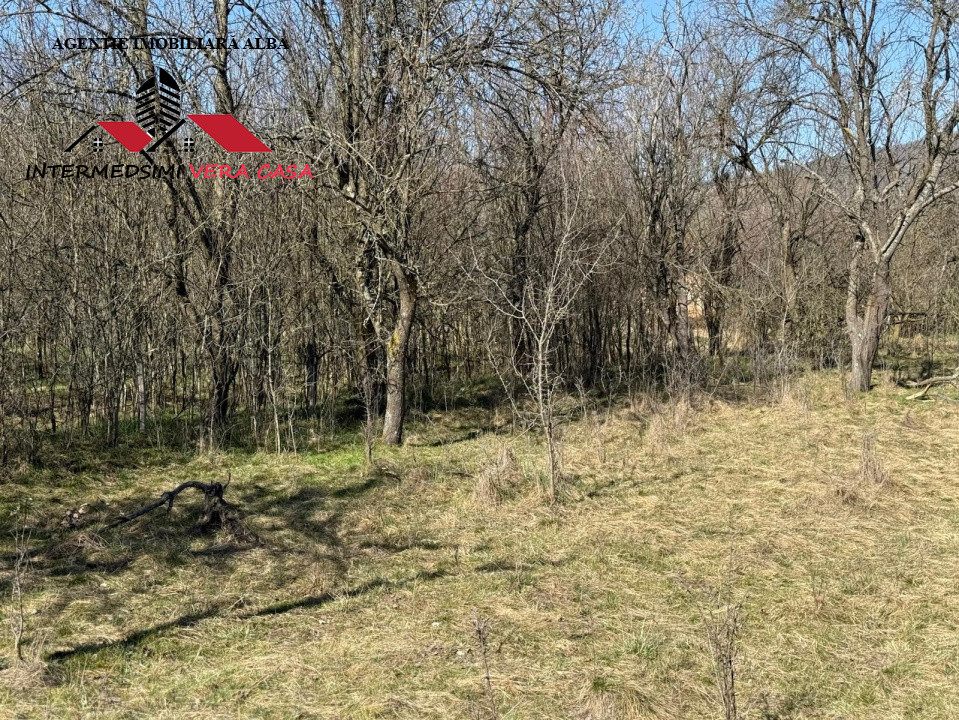 Casa si anexe cu un teren de 7701 mp de vanzare in Stauini  Jud Alba