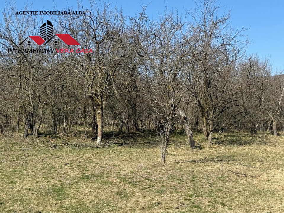 Casa si anexe cu un teren de 7701 mp de vanzare in Stauini  Jud Alba