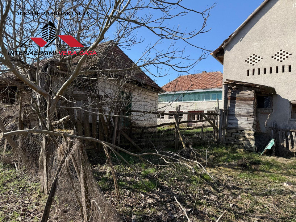 Casa si anexe cu un teren de 7701 mp de vanzare in Stauini  Jud Alba