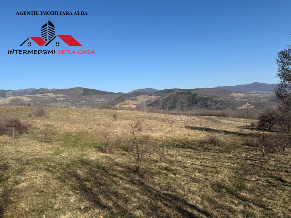 Teren extravilan 28900 mp de vanzare in Stauini Jud Alba