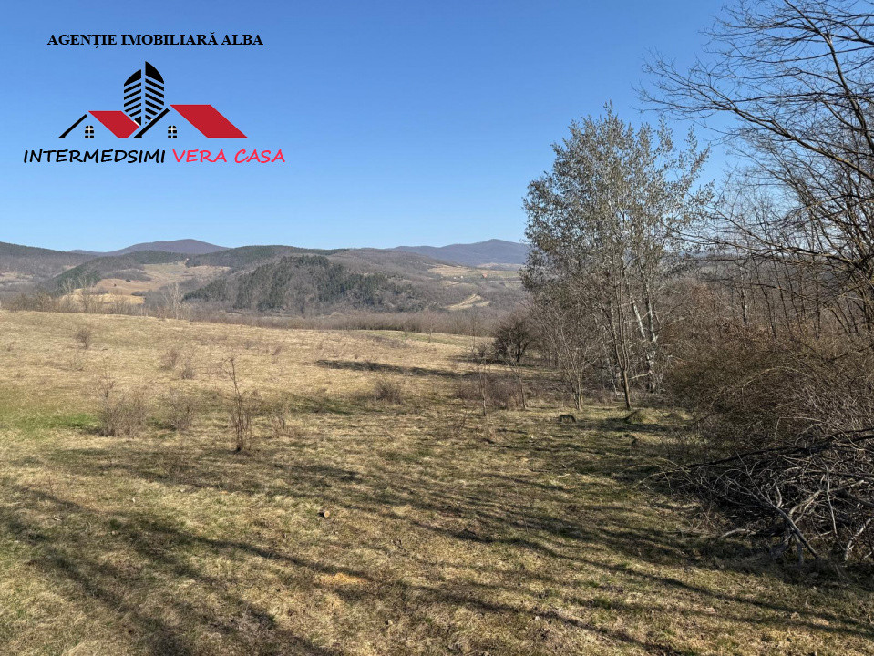 Teren extravilan 28900 mp de vanzare in Stauini Jud Alba