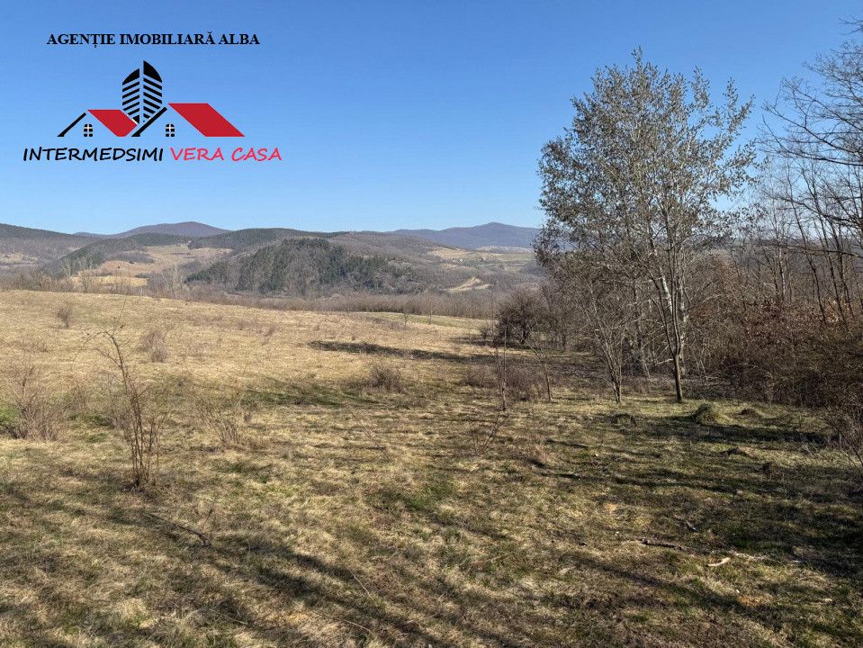Teren extravilan 28900 mp de vanzare in Stauini Jud Alba