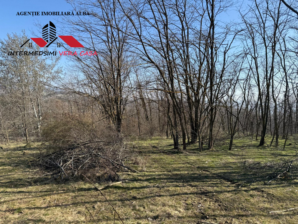 Teren extravilan 28900 mp de vanzare in Stauini Jud Alba