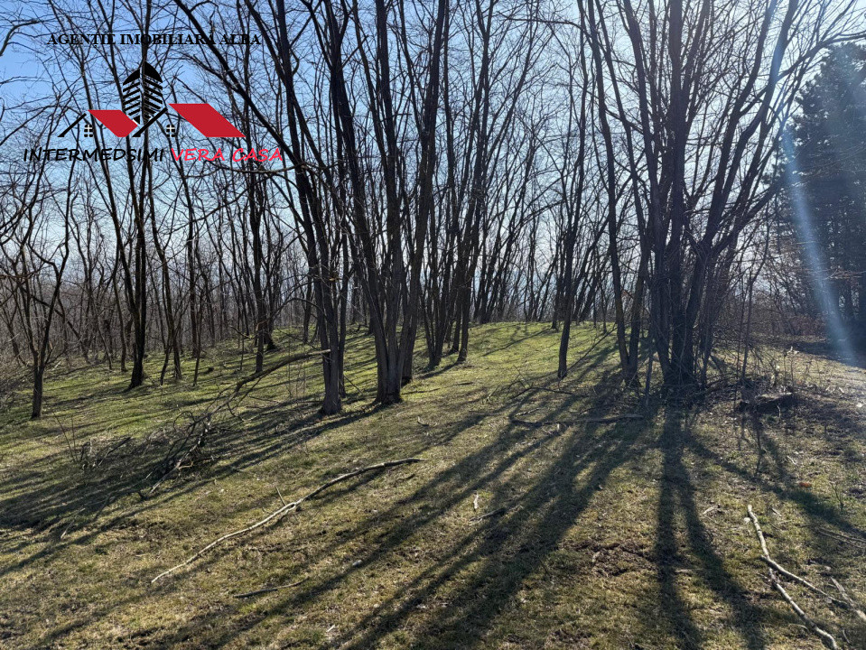 Teren extravilan 28900 mp de vanzare in Stauini Jud Alba