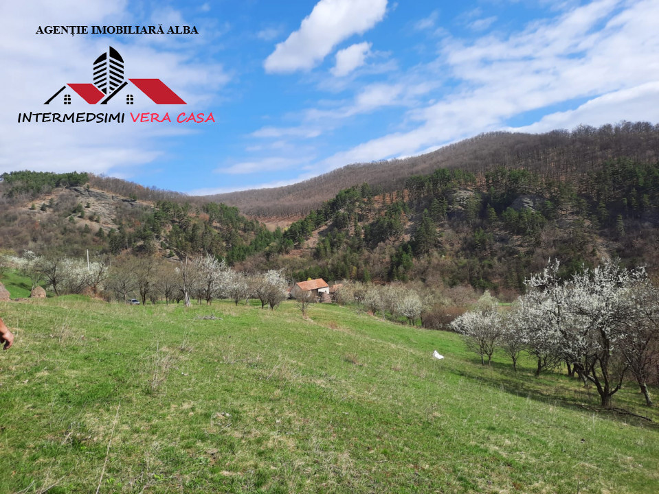 Teren intravilan 1500 mp de vanzare in Inuri Jud Alba