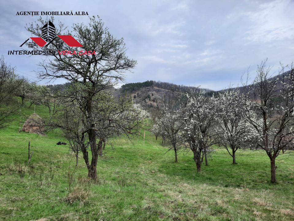 Teren intravilan 1500 mp de vanzare in Inuri Jud Alba