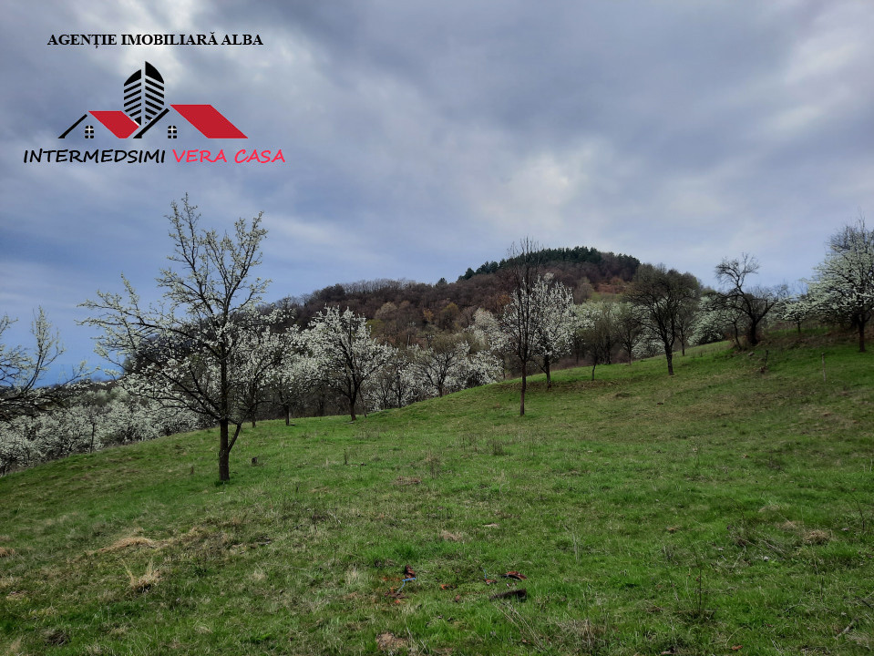 Teren intravilan 1500 mp de vanzare in Inuri Jud Alba