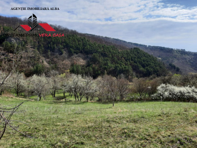 Teren intravilan 1500 mp de vanzare in Inuri Jud Alba