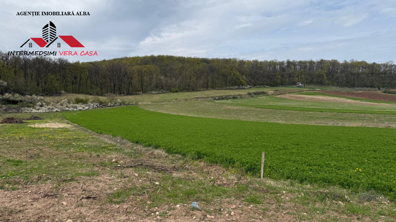 Teren intravilan 833 mp de vanzare in Ampoita Jud Alba