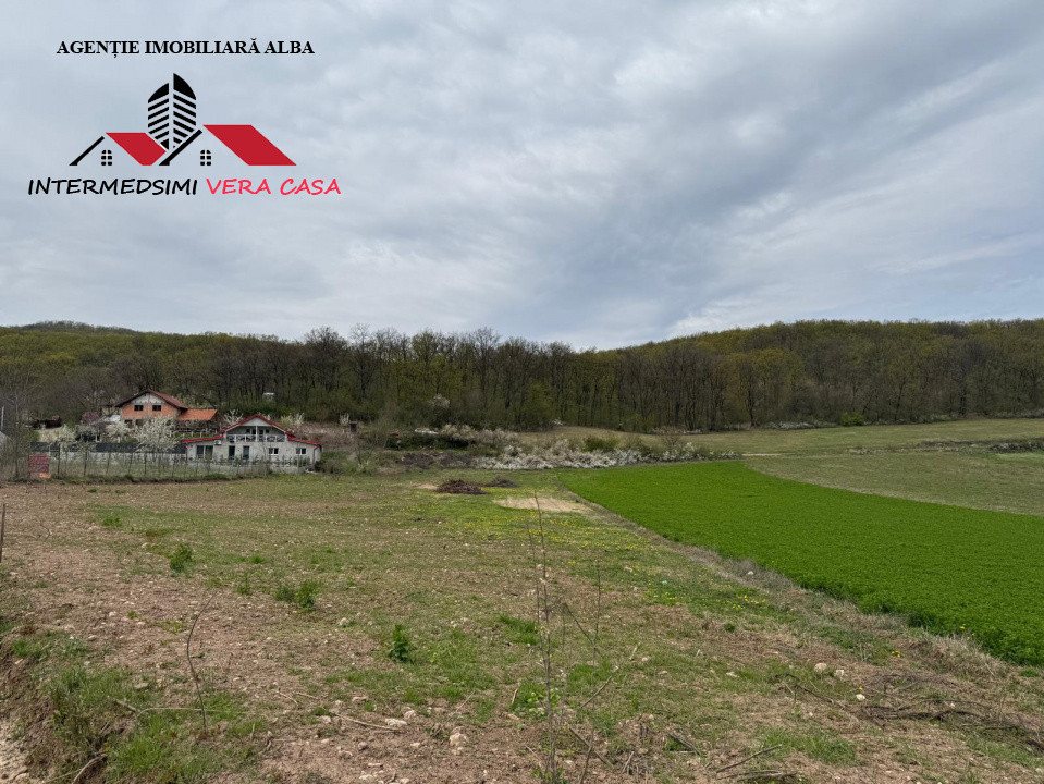 Teren intravilan 833 mp de vanzare in Ampoita Jud Alba