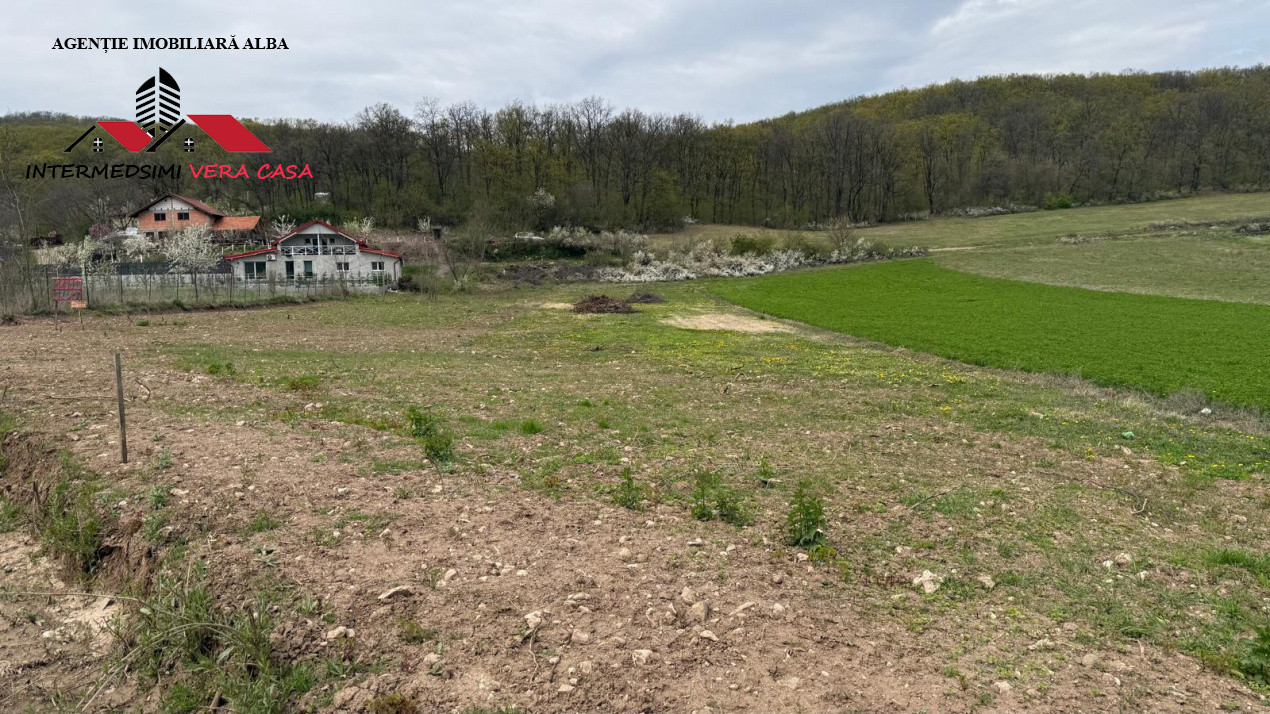 Teren intravilan 833 mp de vanzare in Ampoita Jud Alba