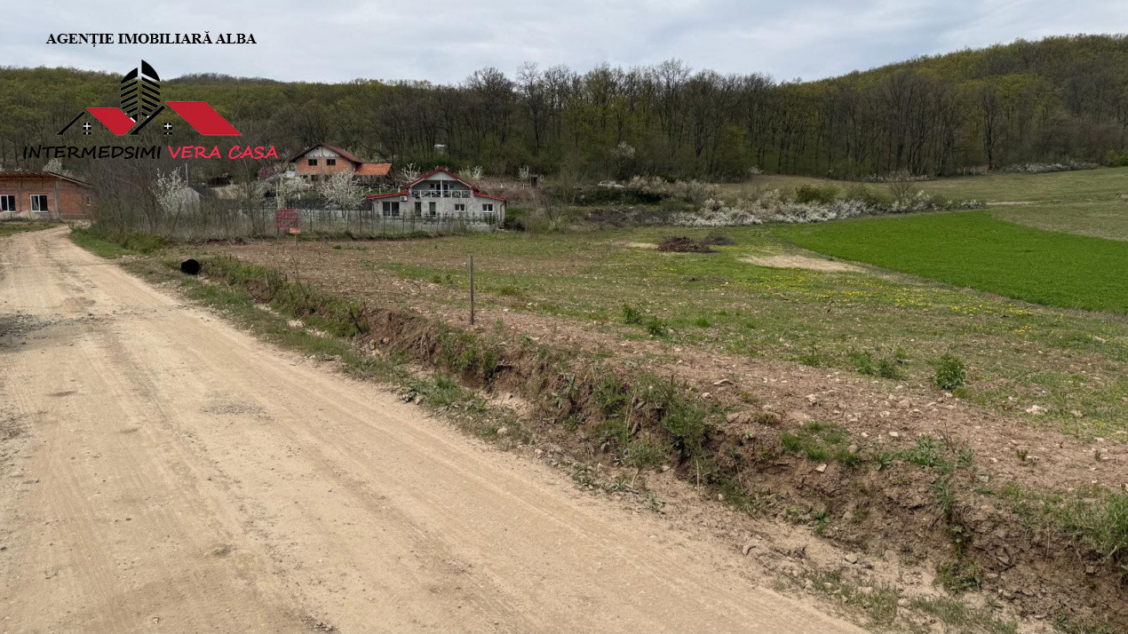 Teren intravilan 833 mp de vanzare in Ampoita Jud Alba