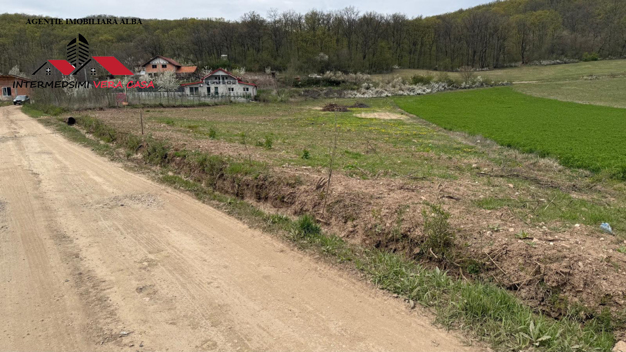 Teren intravilan 833 mp de vanzare in Ampoita Jud Alba