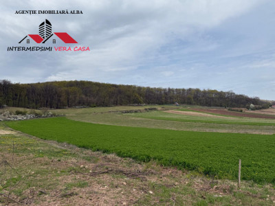 Teren intravilan 833 mp de vanzare in Ampoita Jud Alba