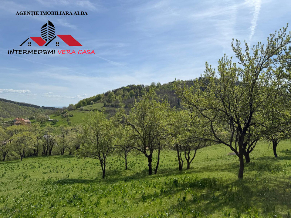 Teren intravilan 8330 mp de vanzare in Inuri Jud Alba