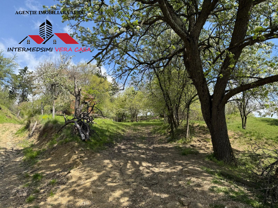 Teren intravilan 8330 mp de vanzare in Inuri Jud Alba