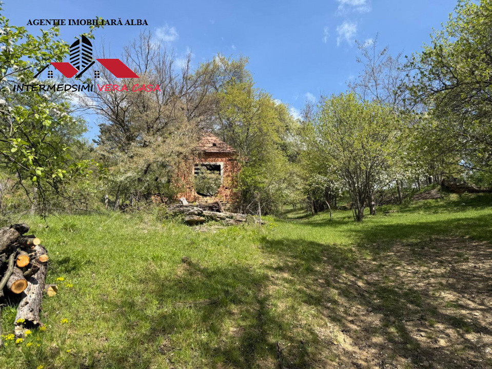 Teren intravilan 8330 mp de vanzare in Inuri Jud Alba