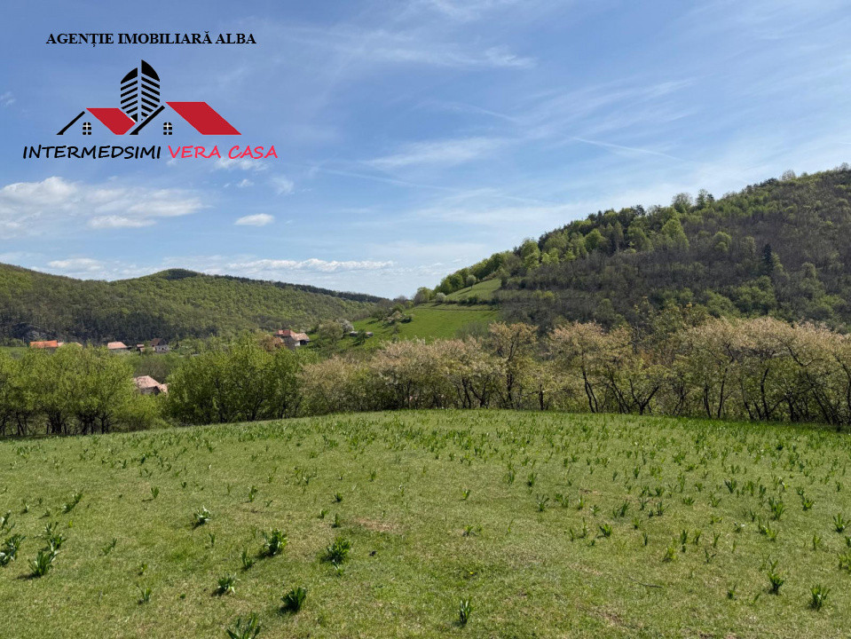 Teren intravilan 8330 mp de vanzare in Inuri Jud Alba