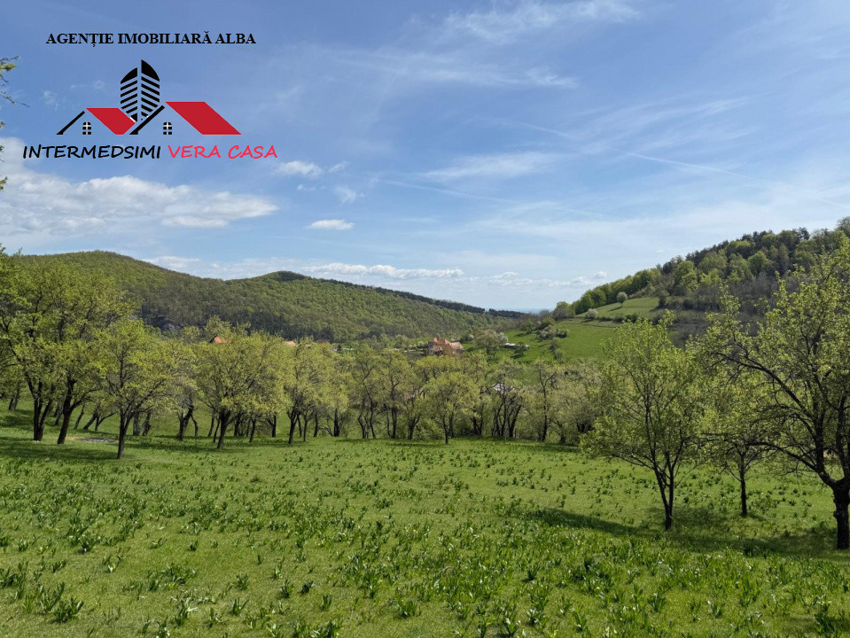 Teren intravilan 8330 mp de vanzare in Inuri Jud Alba